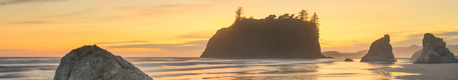 Pacific northwest coastline.