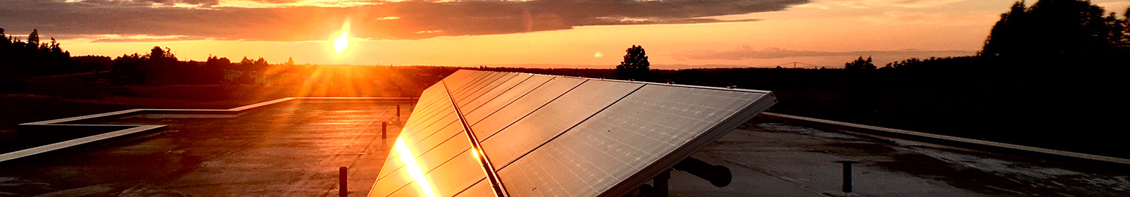 Small solar farm at sunset.